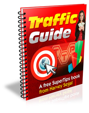 Traffic Guide